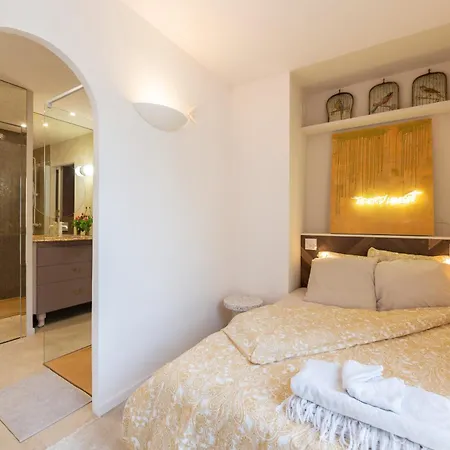 Le Cosy Du Palais Annecy